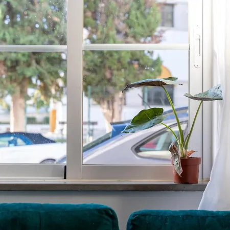 Casa Сasa de vacaciones Tavira